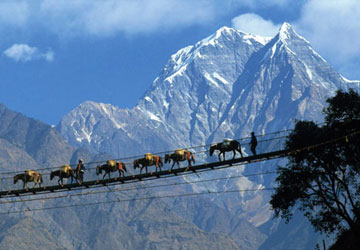 Jewel of Himalaya