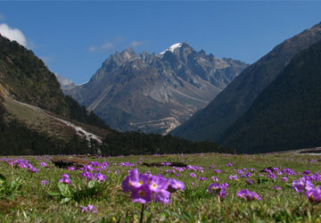 Queen of the Hills Darjeeling Tour