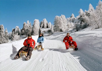 Srinagar-Gulmarg-Srinagar Tour