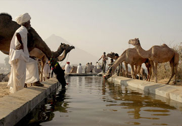 Delhi, Agra, Jaipur