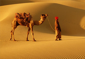 Rajasthan Short Tour