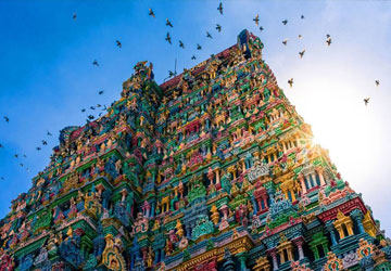 18 Days South India Package